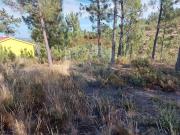 Terreno à venda em Vila de Rei