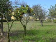 Terreno à venda em Vila do Conde