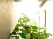 Terreno à venda em Vila Maria SP