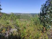 Terreno à venda em Vila Velha de Ródão