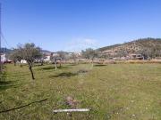 Terreno à venda em Vila Velha de Ródão