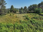 Terreno à venda em Vila Verde