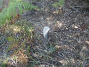 Terreno à venda em Vila Verde