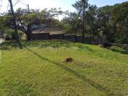 terreno à venda em Vinhas da Vista Alegre