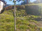 Terreno à venda em Vinhedo