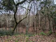 Terreno à venda em Viseu