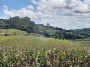 Terreno à venda em Vitória Régia SP