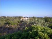 Terreno à venda Faro