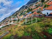 Terreno à venda Jamboto, Funchal, Madeira