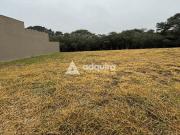 Terreno à venda, Jardim Carvalho, Ponta Grossa, PR