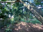 Terreno à venda Jardim Tatuí