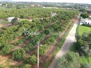 Terreno de 537 m2 Loulé, Faro