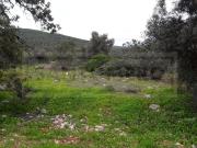 Terreno à venda Monte Brito, Loulé, Faro