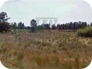 Terreno à venda Montijo, Setúbal