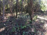 Terreno à venda na Casa Branca