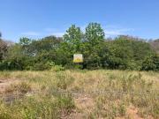 Terreno a venda na lomba do Pinheiro