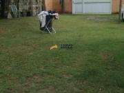 Terreno a venda na Praia do Prumirim Ubatuba/SP