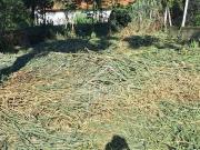 Terreno á venda no bairro Country Club Valinhos/SP