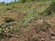 Terreno à Venda no Bairro do São Francisco em São Sebastião