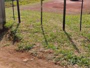 Terreno à venda no Bairro Duchem, Palmeiras SP