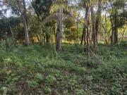 Terreno à venda no Bairro Guacuri em Itupeva SP  3.000 m²