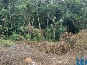 Imoveis no Condomínio Arujá Country Club Imoveis no Condomínio Arujá Country Club