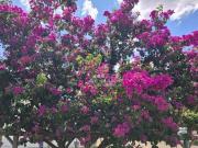 Terreno a venda, no Condomínio D&apos Aquila, bairro...