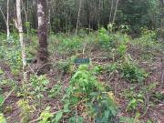 Terreno a Venda no condomínio Quintas da Gentileza