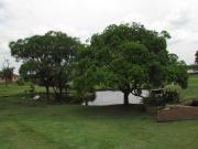 Terreno a venda no interior de São Paulo com 1.000...