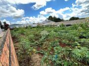 Imoveis no Jardim Primavera