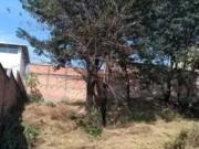 Imoveis no Jardim Vitória