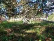 Terreno à venda no Los Alamos em Vargem Grande Paulista