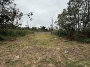 Terreno à Venda no Morro do Algodão em Caraguatatuba