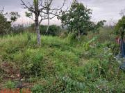 TERRENO A VENDA NO NOVA AMERICA PARELHEIROS