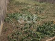 Terreno à venda no Parque Ortolândia em Hortolândia/SP