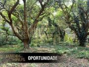 Terreno à venda no Riviera Paulista SP