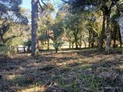 Terreno a venda no São Bernardo