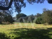 Terreno à venda Palmela, Portugal