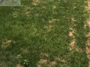 Terreno a venda perto do METRO Butanta São Paulo 1000...