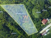 Terreno à venda, Reino Ilhabela/SP