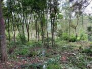 Terreno à venda Rio Abaixo Mairiporã/SP