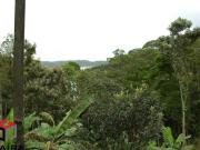 Terreno à venda Rio Grande São Bernardo do Campo SP
