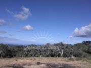 Terreno à venda Santa Cruz, Santiago do Cacém, Setúbal