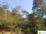 Terreno à venda, Santa Tereza Ilhabela!