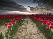 Terreno à venda Sesimbra, Portugal