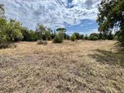 Terreno à venda Vale D' Eguas, Loulé, Faro