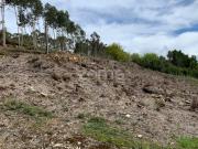 Terreno à venda Valongo, Portugal