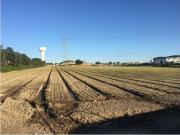 Terreno à venda Vaza Borrachas, Montijo, Setúbal