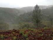 Lote / Terreno à venda em Nova Lima, no bairro Village...