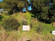 Terreno, Abrantes São Vicente e São João e Alferrarede,...